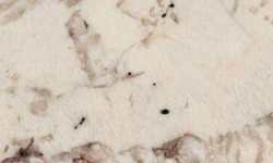 Alps White 

Countertops NJ NY CT PA MA