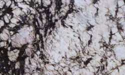Aruba 

Dream Countertops NJ NY CT PA MA