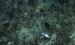 Green Eyes 

Countertops NJ NY CT PA MA
