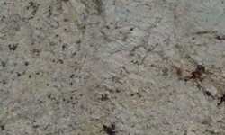 Hawaii Countertops NJ 

NY CT PA MA