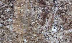 Nilo River 

Countertops NJ NY CT PA MA
