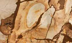 Stone Wood 

Countertops NJ NY CT PA MA
