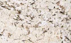 White Sand 

Countertops NJ NY CT PA MA